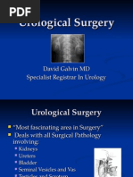 Download Urology by rikasusanti101001201 SN267427762 doc pdf