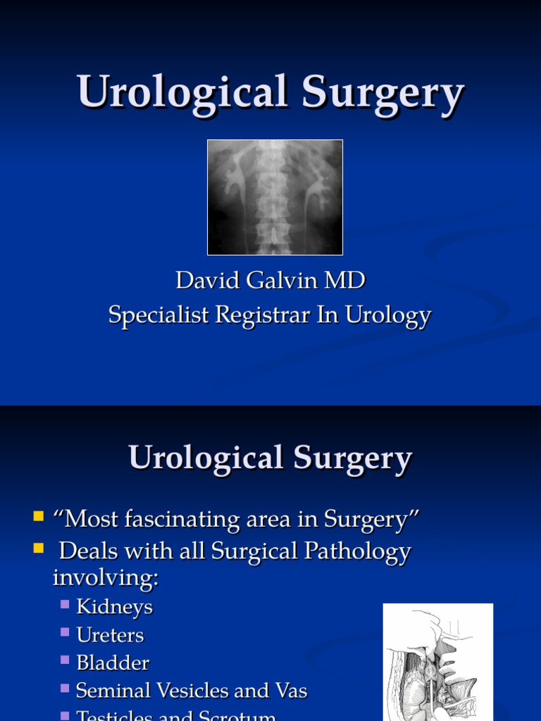 Urology PDF Urology Medicine