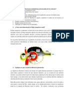 Semi y Practi Renal