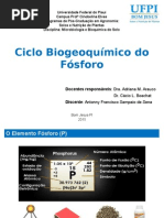 Ciclo Biogeoquímico Do Fósforo