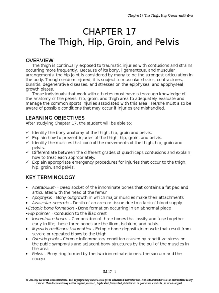 Prentice9e Im Chap17 Hip Pelvis