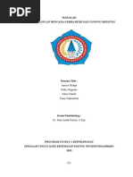 Download MakalahPbGempaBumiDanGunungMeletusbyAprinaSinagaSN267451899 doc pdf