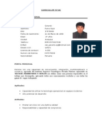 CV Documentado Gerardo Puma - 2015