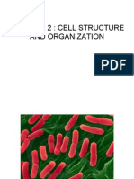 Chapter 2: Cell Structure and Organization