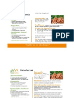 Produce Guide - Carrots