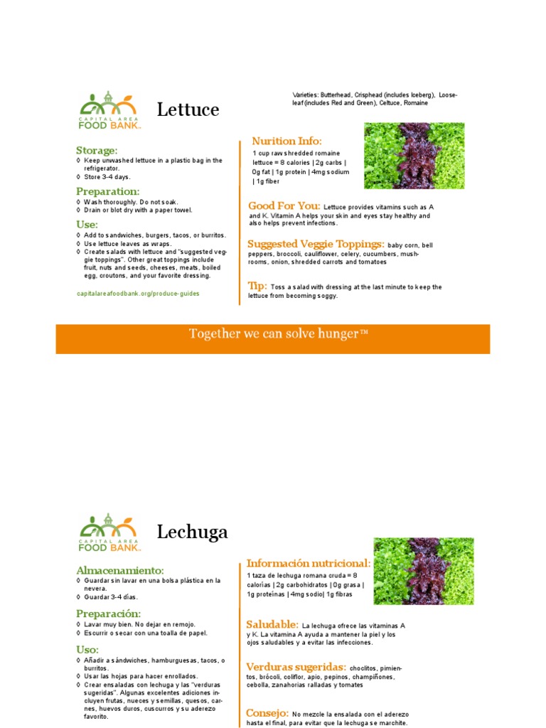 Produce Guide - Lettuce | PDF