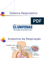 Sistema Respiratório