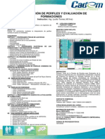 Interpretación de Perfiles y Evaluación de Formaciones. Lucilo Torres 2