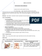 Reproduksi Manusiaa