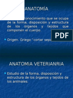 Terminología Anatómica