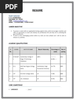 Punit Narayan Cv (1)