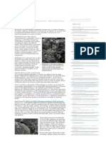 Understanding Biofilms