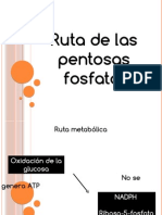 Ruta de Las Pentosas Fosfato