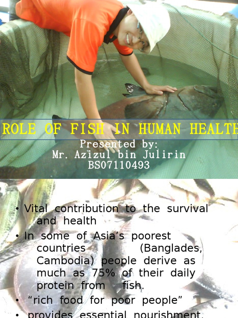 Role of Fish in Human Health | PDF