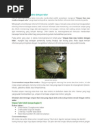 Download Umpan Ikan Mas Tombro Dengan Telur by Fajar Kesdu SN267511530 doc pdf