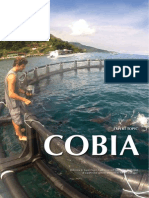 EXPERT TOPIC 1503: Cobia