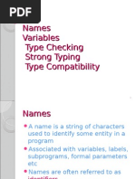 Names Variables Type Checking Strong Typing Type Compatibility