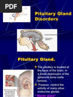 Endocrine II Pituitary Gland Disorders 2006