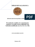 Peroxidacion Catalitica Contaminantes