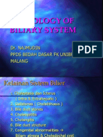 Batu Empedu PDF