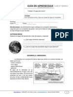 Guia de Aprendizaje Cnaturales 5basico Semana 02 2015