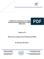 Condiciones Del Laboratorio de PCR