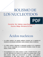 Expocicion Nucleotidos