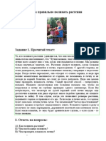 дидактика Как правильно поливать растения