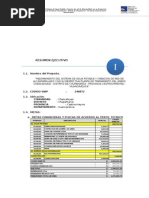 RESUMEN EJECUTIVO chancahuasi