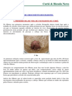 Fases de crescimento de filhotes de curió