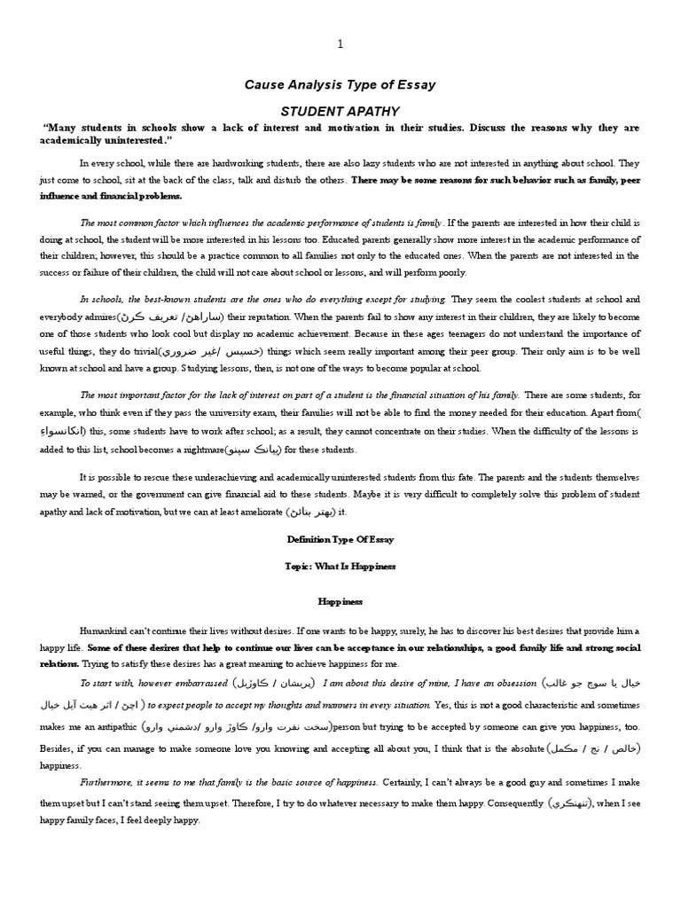 Happiness meaning essay