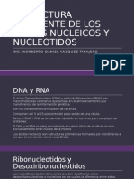 Estructura Covalente de Los Acidos Nucleicos y Nucleotidos