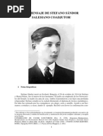 El Mensaje de Stefano Sándor