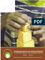 ENRIQUECIMIENTO_AULICO.pdf