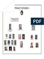 Project OPhoenix Organizational Chart PDF