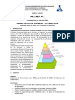 Practica 1 SGC Documentacion Analisis Clinico 2012