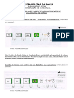 Distancia Regulamentar Entre Os Componentes de Uma Guarda de Honra