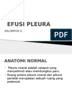 Efusi Pleura