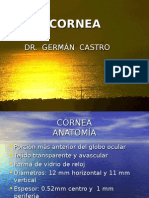 Cornea