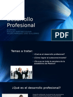 Desarrollo Profesional