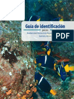 Guia de Identificacion de Peces