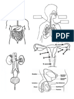 Imagenes de Los Sistemas