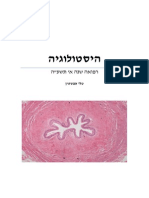 חוברת היסטולוגיה טלי- הכי מעודכן PDF