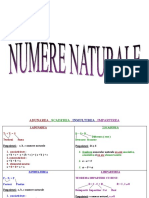 Numere Naturale
