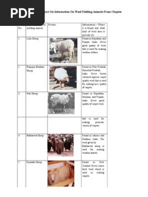 Science Class 7th Project On Information On Wool Yielding Animals From Chapter Wool Carpet
