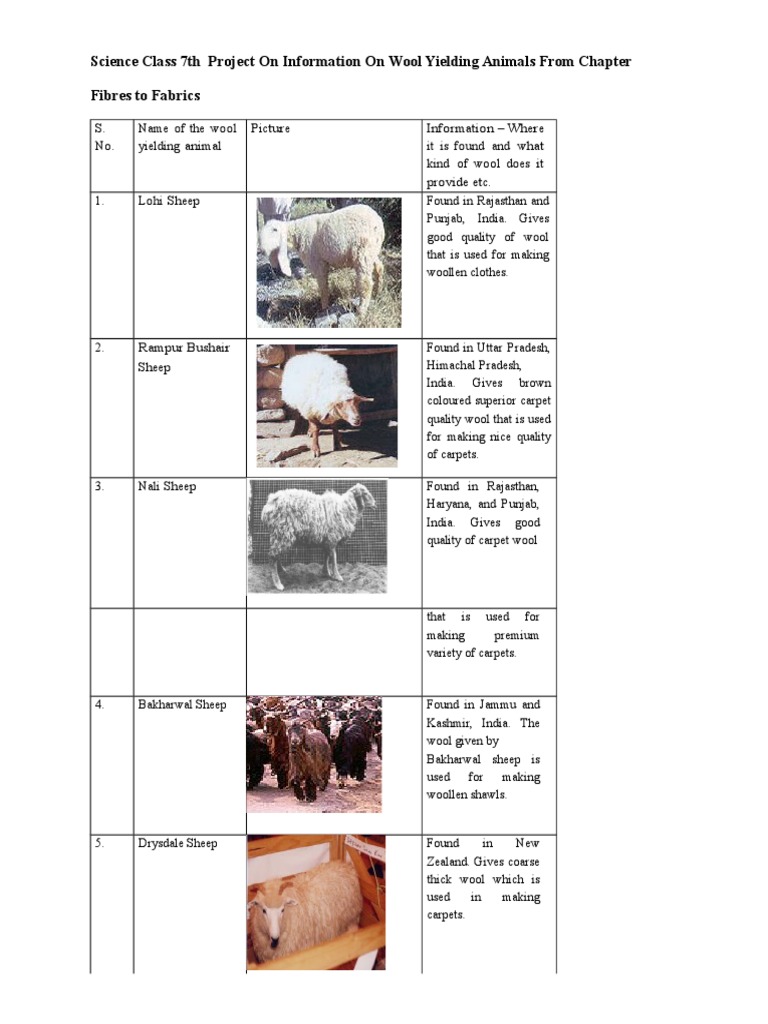 Science Class 7th Project On Information On Wool Yielding Animals From  Chapter | PDF | Wool | Carpet, image size:768x1024