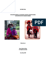 InformeResilienciaAndinas PDF