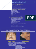 Block 9 UPPER ALIMENTARY TRACT PDF