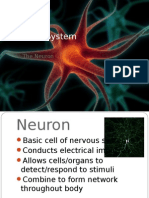 Neuron Notes