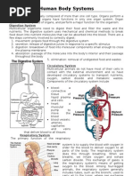 Download Human Body Systems by oiu7hjjs SN267655 doc pdf